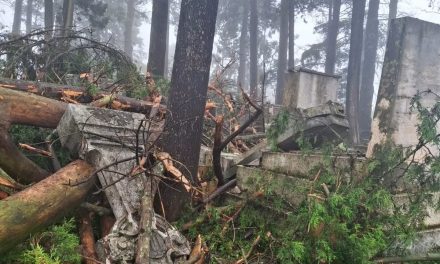 INAH evaluará daños en tumbas del Panteón Inglés