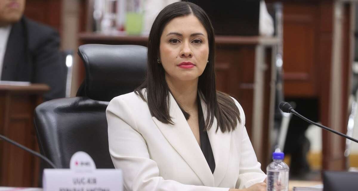 Nombran a Blanca Cruz García como nueva presidenta provisional del INE