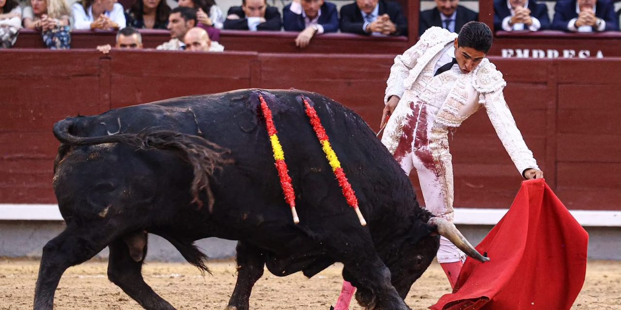Animalistas proponen corridas sin sangre ante denuncias por tauromaquia