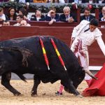 Animalistas proponen corridas sin sangre ante denuncias por tauromaquia