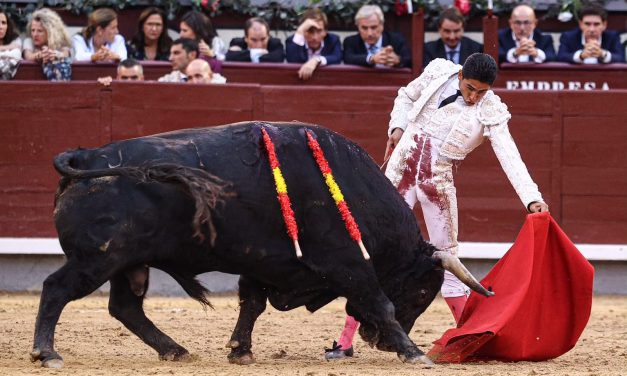 Animalistas proponen corridas sin sangre ante denuncias por tauromaquia